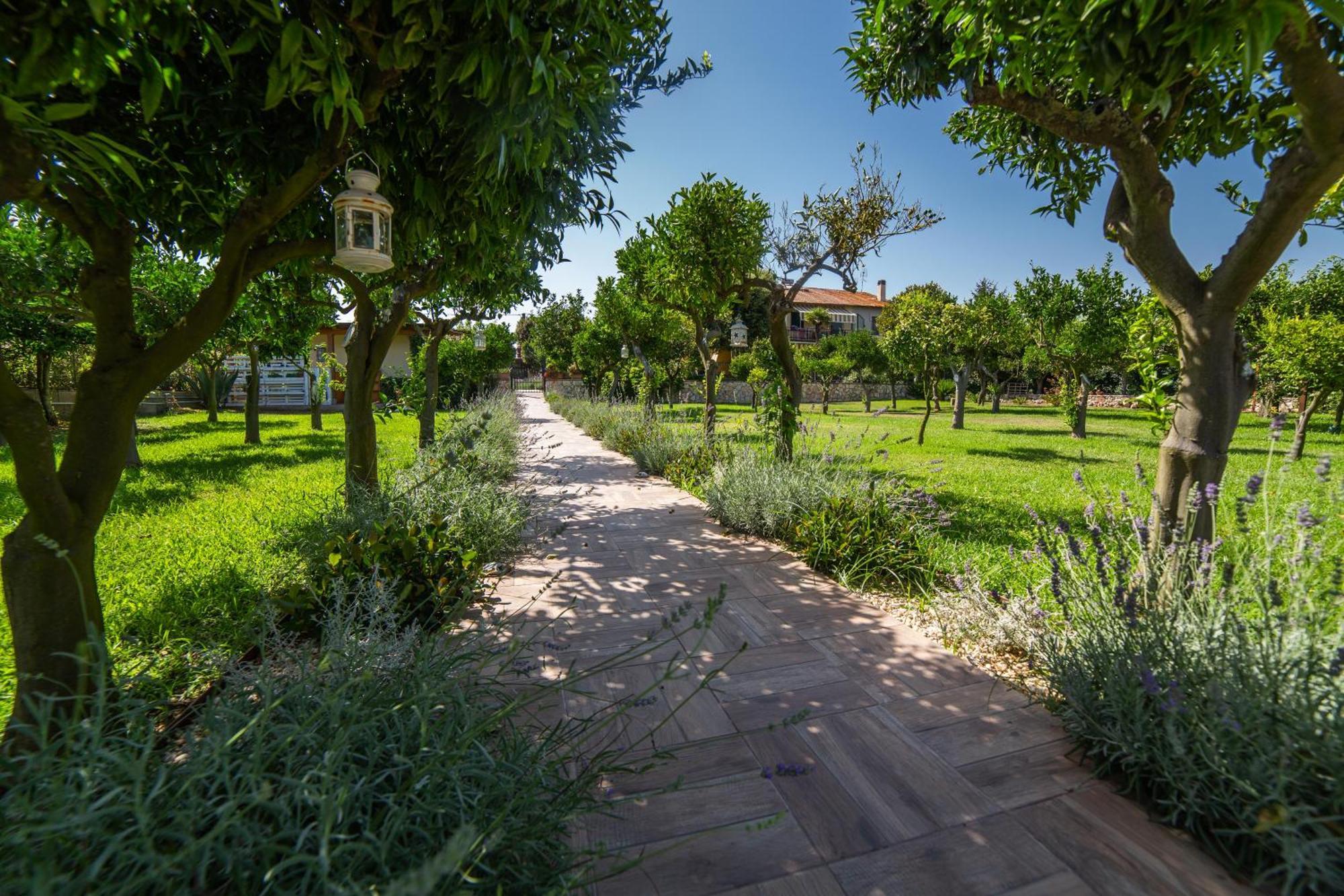 I Lecci Guesthouse San Felice Circeo Exteriör bild